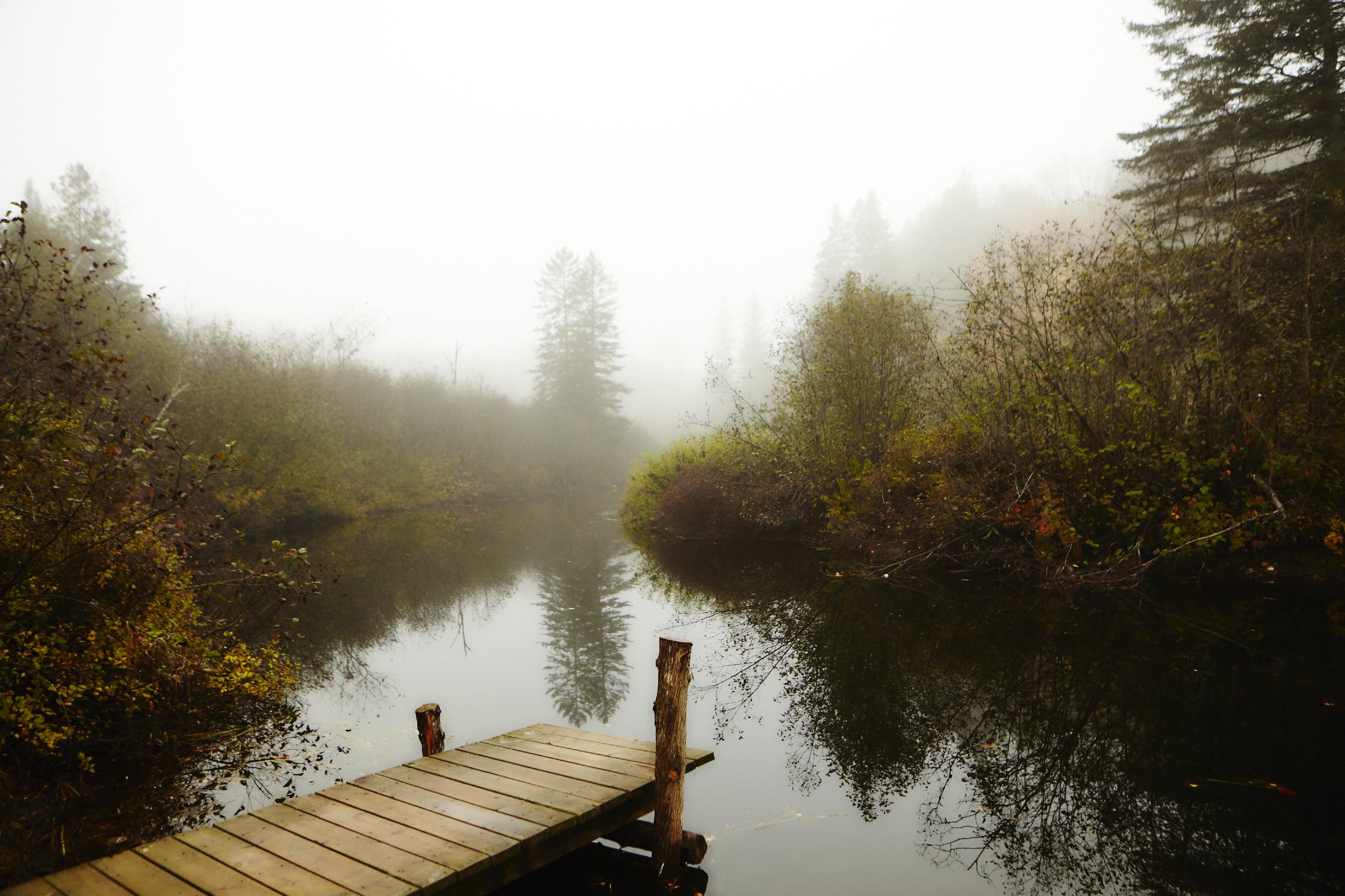 The River by Peter  Morneau on GIANT ART - green nature fall