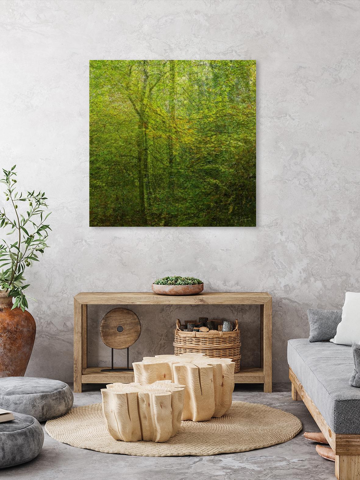 Natural Look VI by Jean-François Dupuis on GIANT ART - green landscape forêt