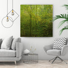 Natural Look VI by Jean-François Dupuis on GIANT ART - green landscape forêt