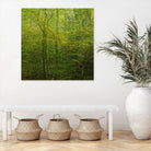 Natural Look VI by Jean-François Dupuis on GIANT ART - green landscape forêt