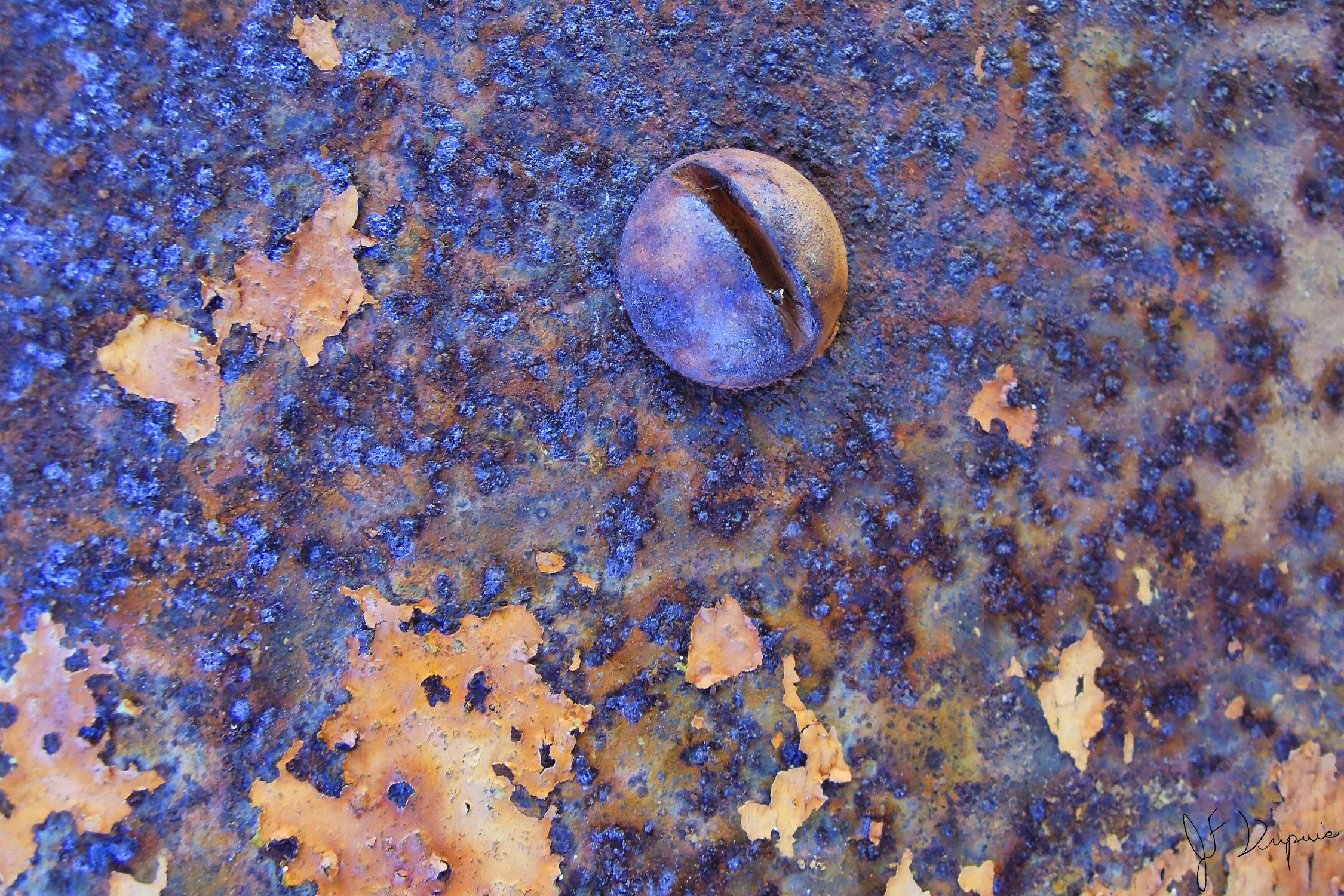 Rusty Screw by Jean-François Dupuis on GIANT ART - pink photo art