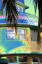 Surfside by Rene Griffith on GIANT ART - green tropical