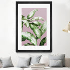 Palm of the Hand II by Daleno Art on GIANT ART - pink botanical nature