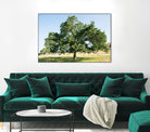 Strength by Acer Images on GIANT ART - blue trees