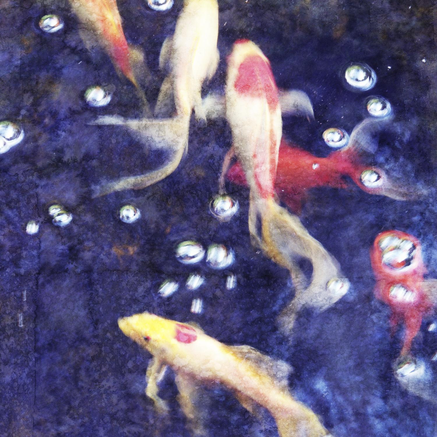 Koi 2 by Thea Schrack on GIANT ART - pink animals