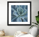 Sweet Succulent by Karen Ussery on GIANT ART - blue botany