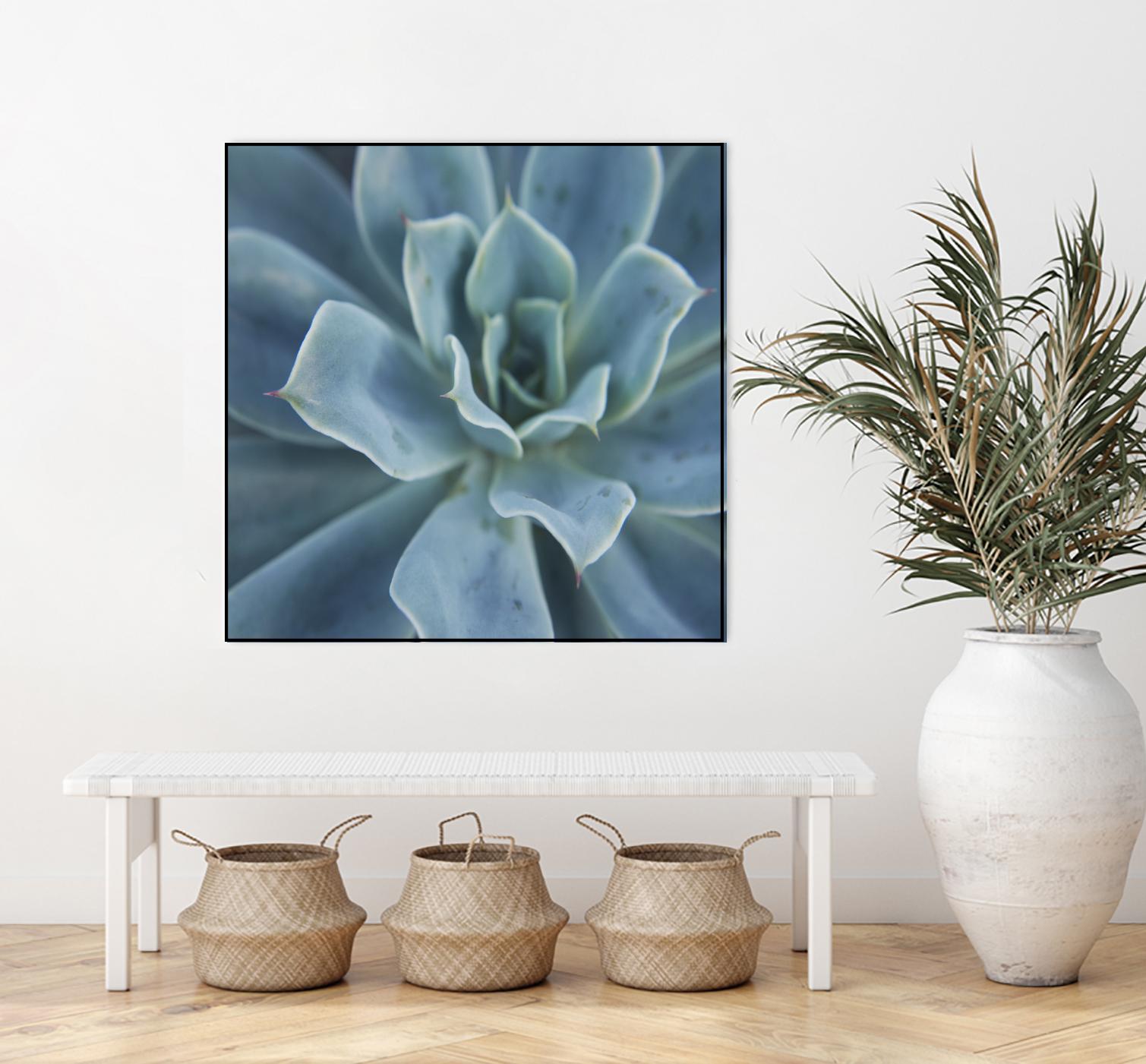 Sweet Succulent by Karen Ussery on GIANT ART - blue botany