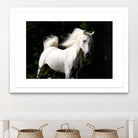 Candle 4 by Patrick Marshall on GIANT ART - black animals