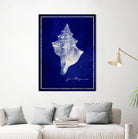 Conch Shell by GI ArtLab on GIANT ART - blue nautical