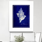 Conch Shell by GI ArtLab on GIANT ART - blue nautical