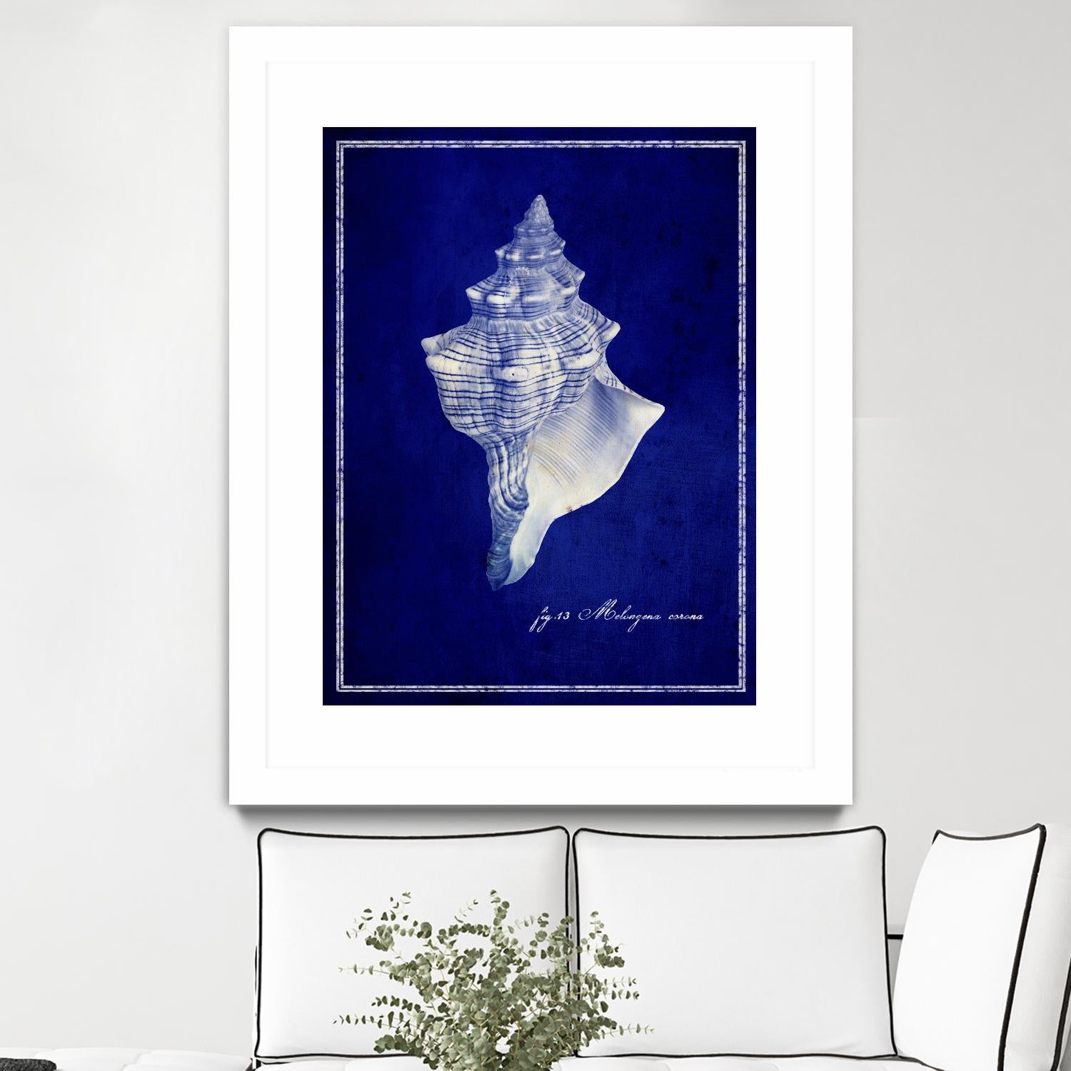 Conch Shell by GI ArtLab on GIANT ART - blue nautical