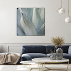 Black Tip Succulent by Karen Ussery on GIANT ART - grey botany