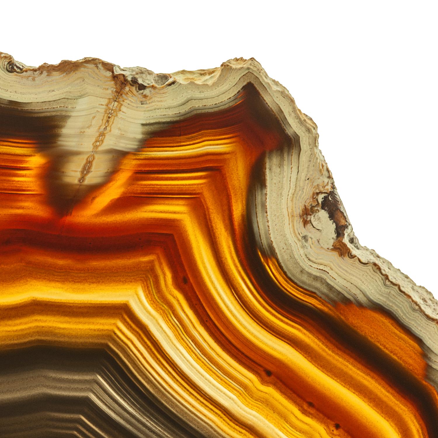 Cadmium Orange Agate A by GI ArtLab on GIANT ART - white abstract