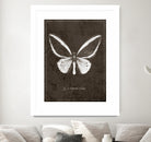 Butterfly I by GI ArtLab on GIANT ART - white botany