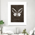 Butterfly I by GI ArtLab on GIANT ART - white botany