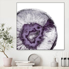 Plum Agate B by THE Studio on GIANT ART - white abstract