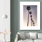Palm Tree Silhouettes by Lillis Werder on GIANT ART - black tropical
