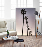 Palm Tree Silhouettes by Lillis Werder on GIANT ART - purple tropical