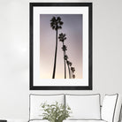Palm Tree Silhouettes by Lillis Werder on GIANT ART - black tropical