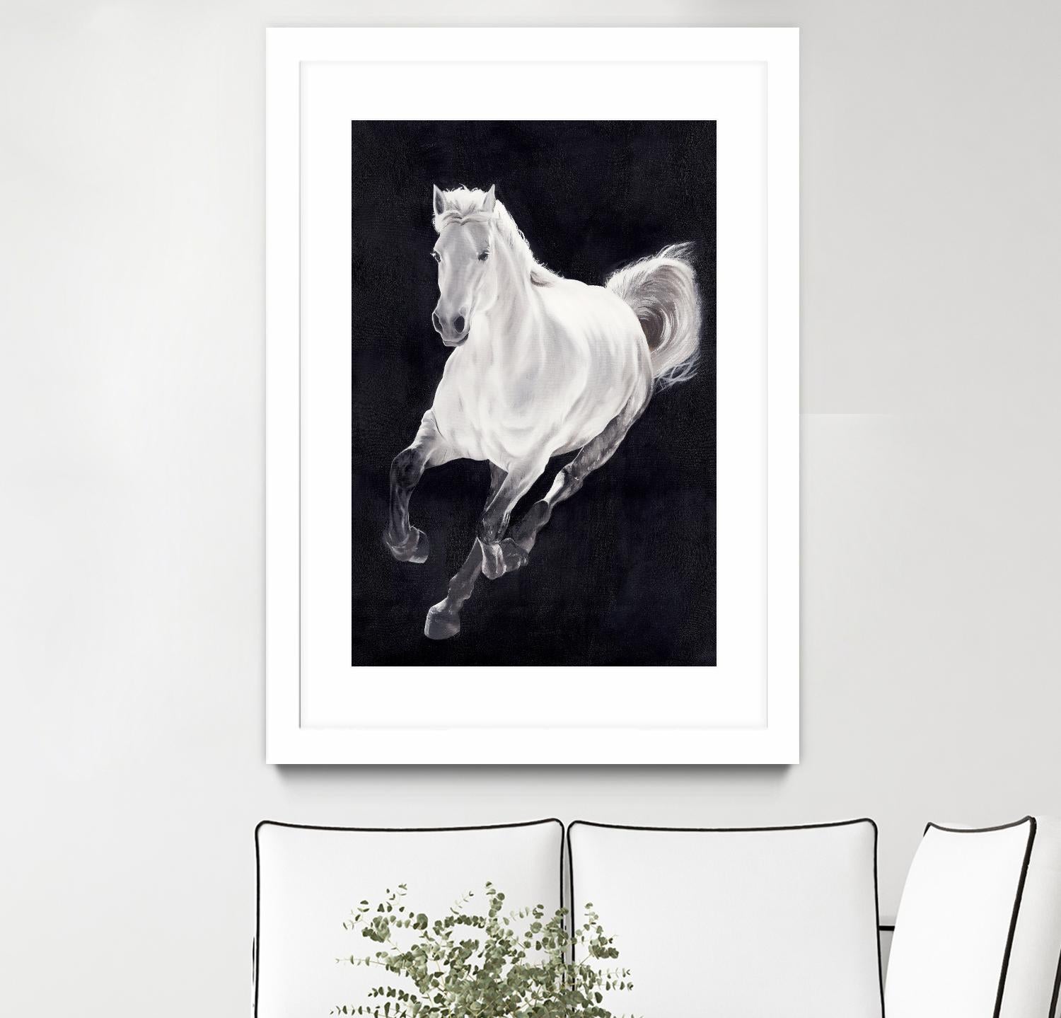 White Horse by Stefano Altamura on GIANT ART - white animals
