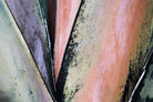 Contemporary Palm Leaves 1 by THE Studio on GIANT ART - brown contemporary