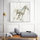 Stallion I on Birch by James Wiens on GIANT ART - grey animals