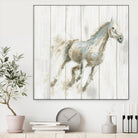 Stallion I on Birch by James Wiens on GIANT ART - grey animals