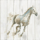 Stallion I on Birch by James Wiens on GIANT ART - grey animals