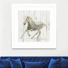 Stallion II on Birch by James Wiens on GIANT ART - grey animals