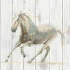 Stallion II on Birch by James Wiens on GIANT ART - grey animals