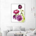 Spring Ranunculus VI by Laura Marshall on GIANT ART - green floral