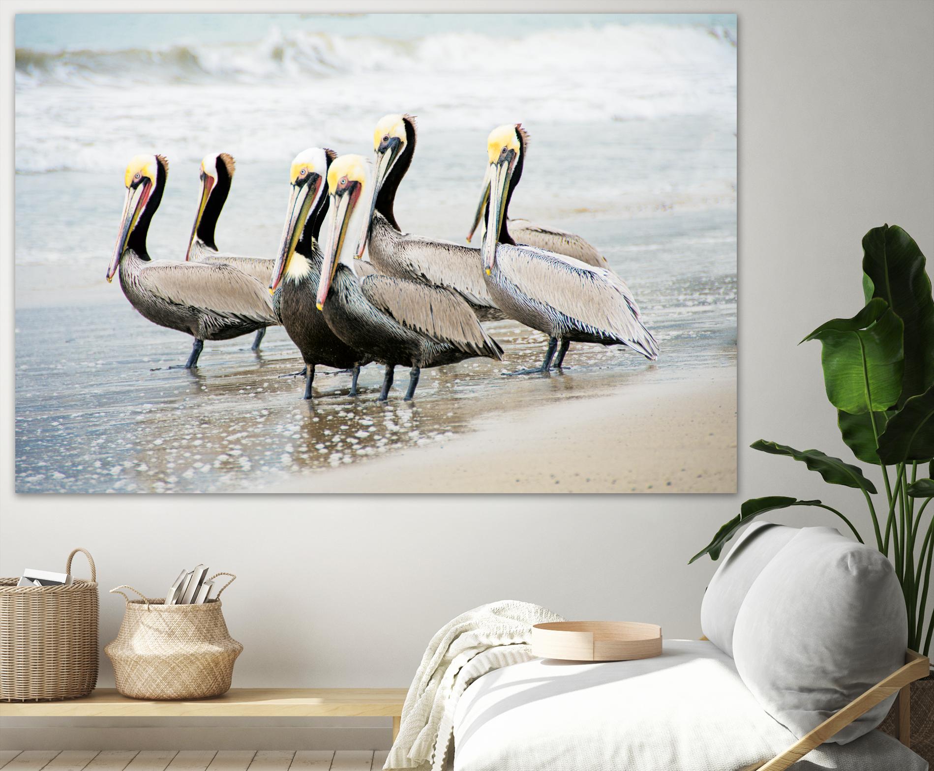 Pacific Cool IV Crop by Elizabeth Urquhart on GIANT ART - grey animals