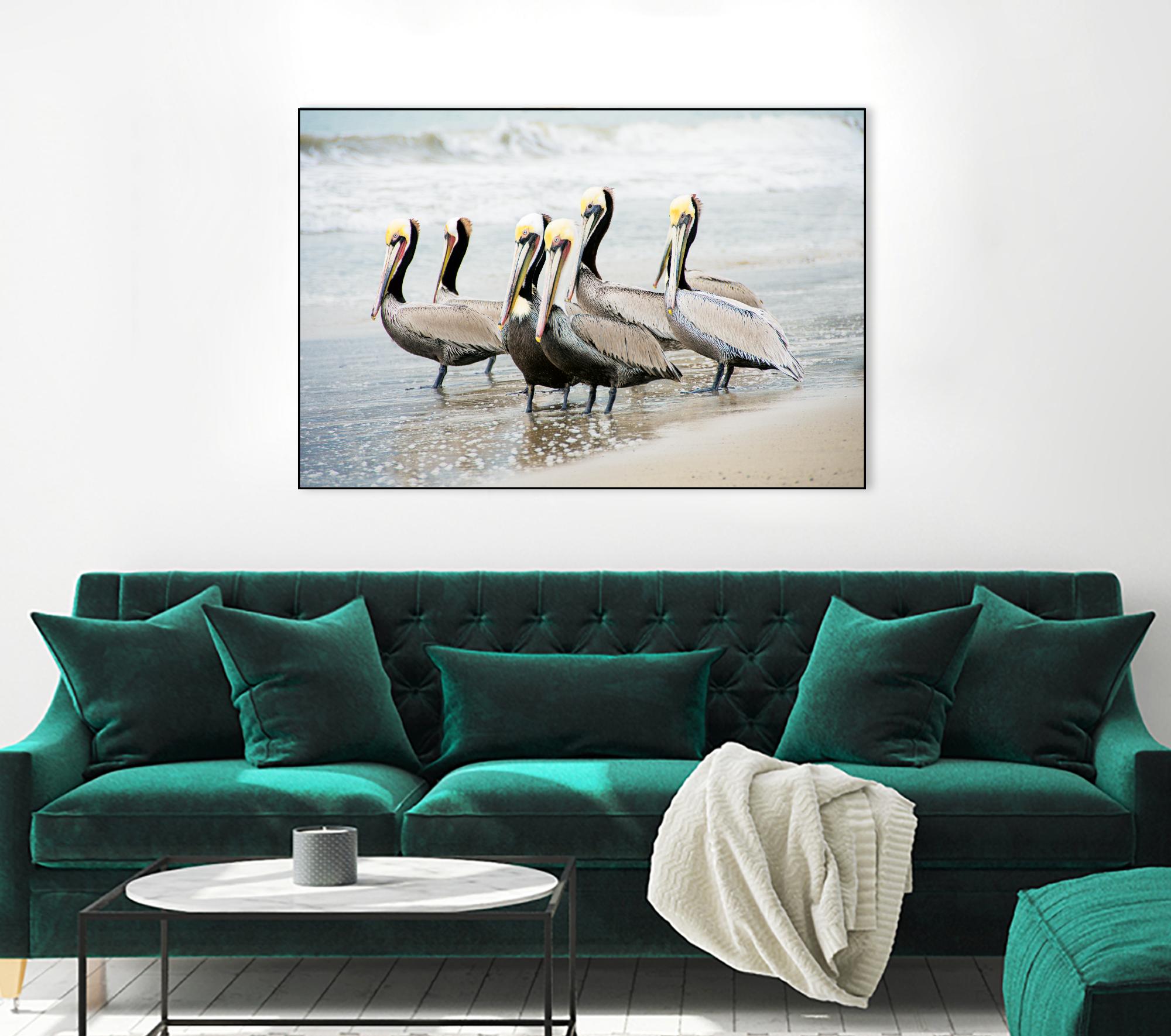 Pacific Cool IV Crop by Elizabeth Urquhart on GIANT ART - grey animals