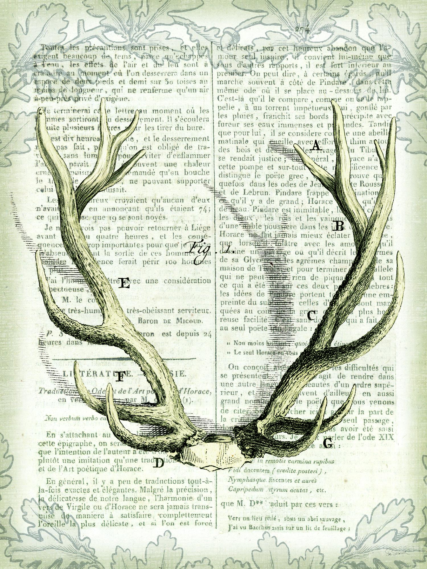 Regal Antlers on Newsprint I by Sue Schlabach on GIANT ART - brown country look