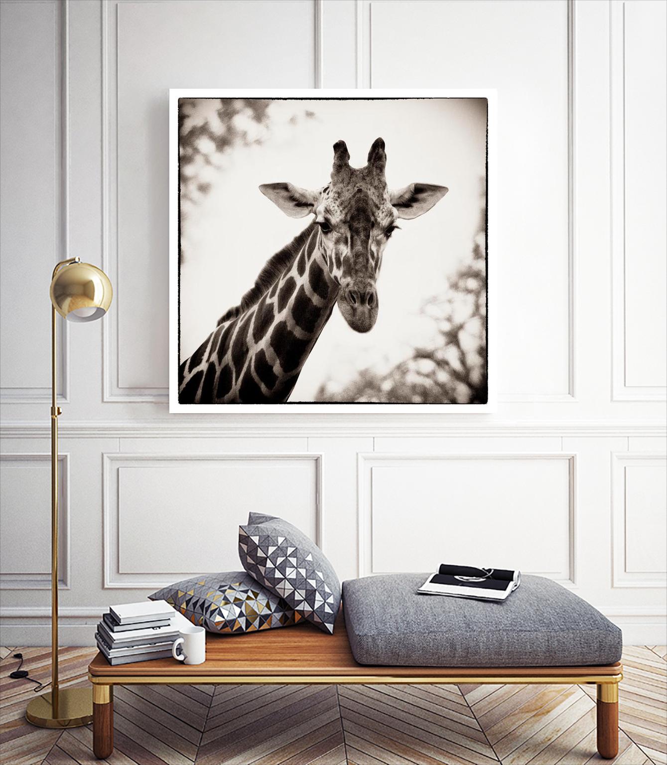 Giraffe I by Debra Van Swearingen on GIANT ART - grey animals
