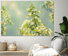 Spring Beauty II by Sue Schlabach on GIANT ART - white floral