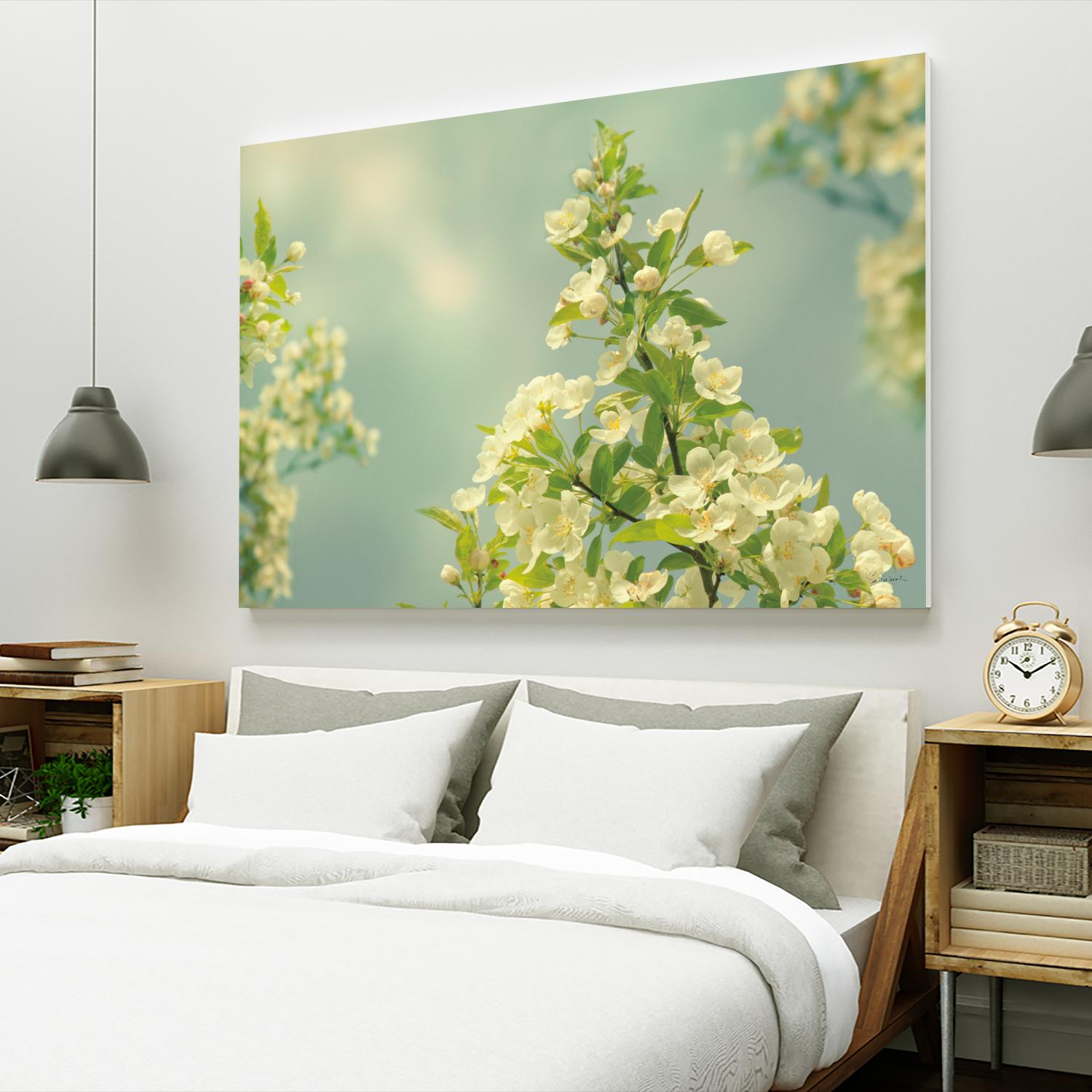 Spring Beauty II by Sue Schlabach on GIANT ART - white floral