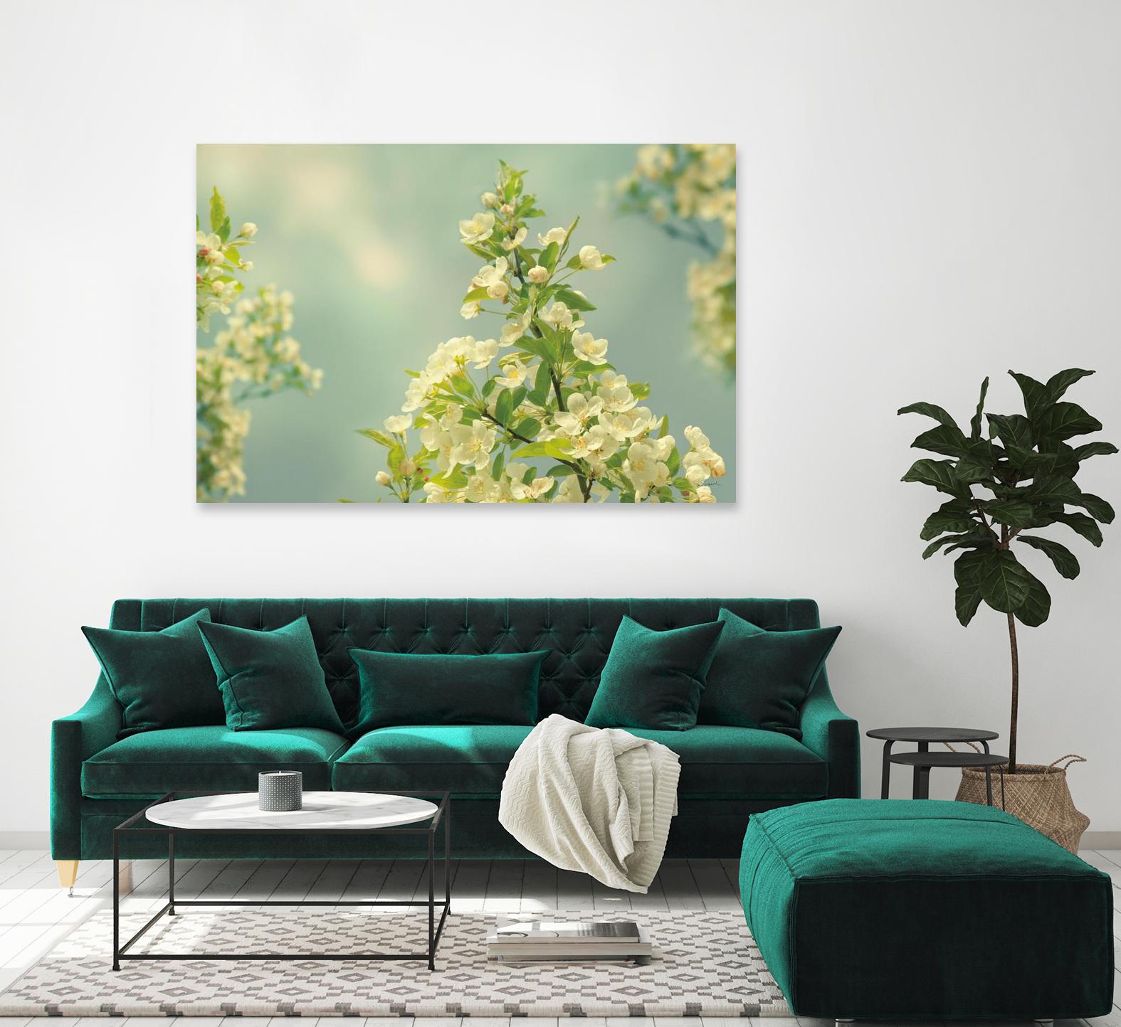 Spring Beauty II by Sue Schlabach on GIANT ART - white floral