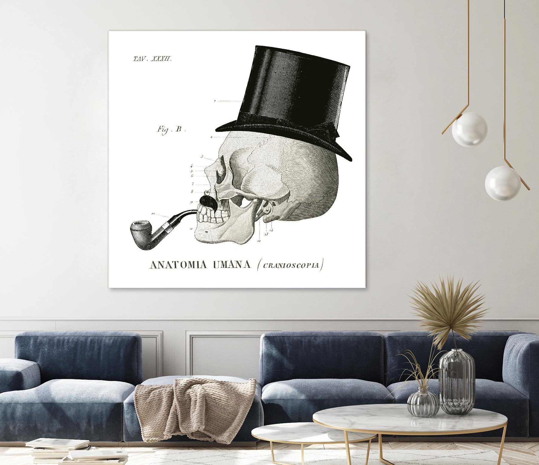 Dandy Bones II by Sue Schlabach on GIANT ART - white vintage