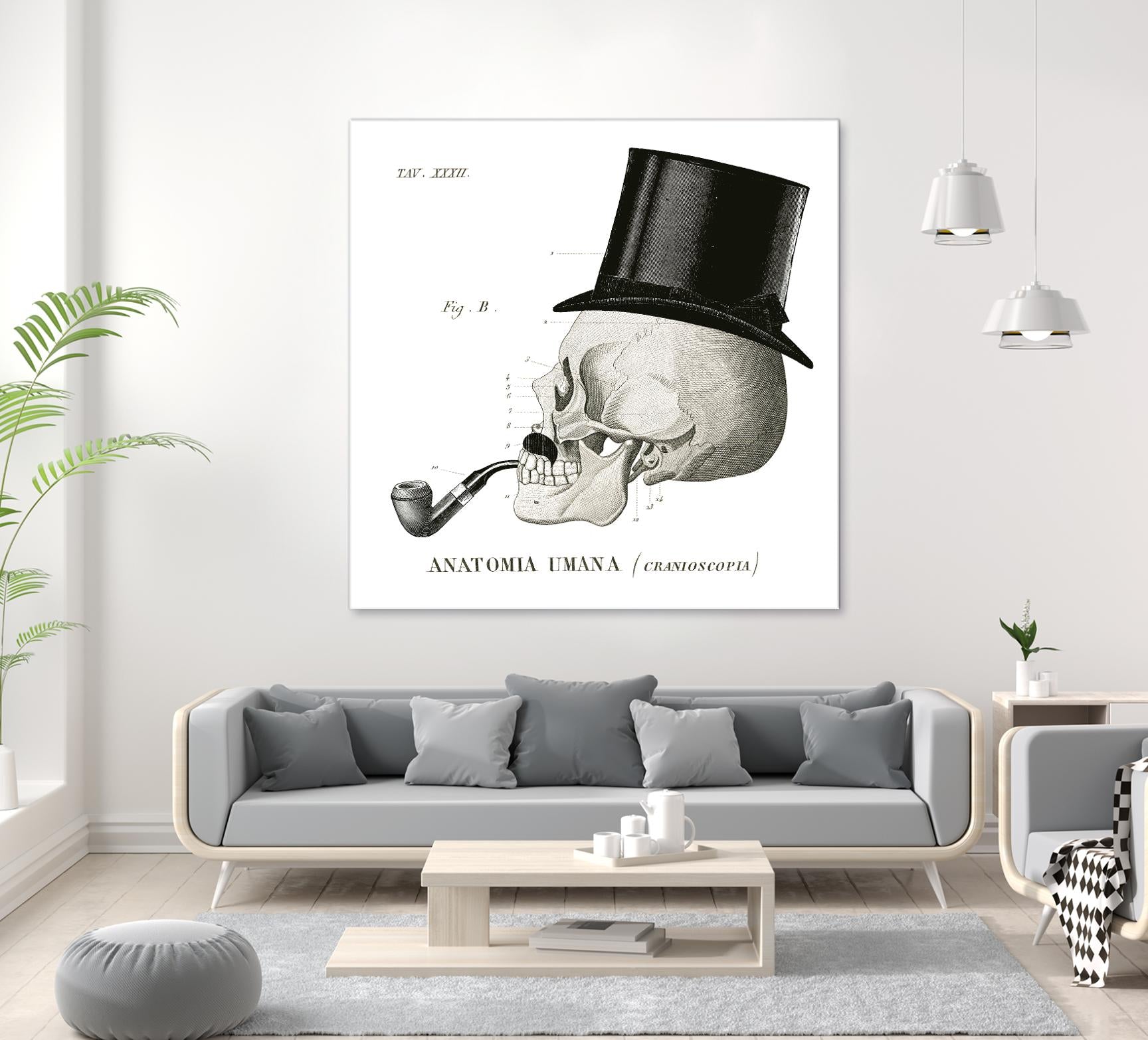 Dandy Bones II by Sue Schlabach on GIANT ART - white vintage