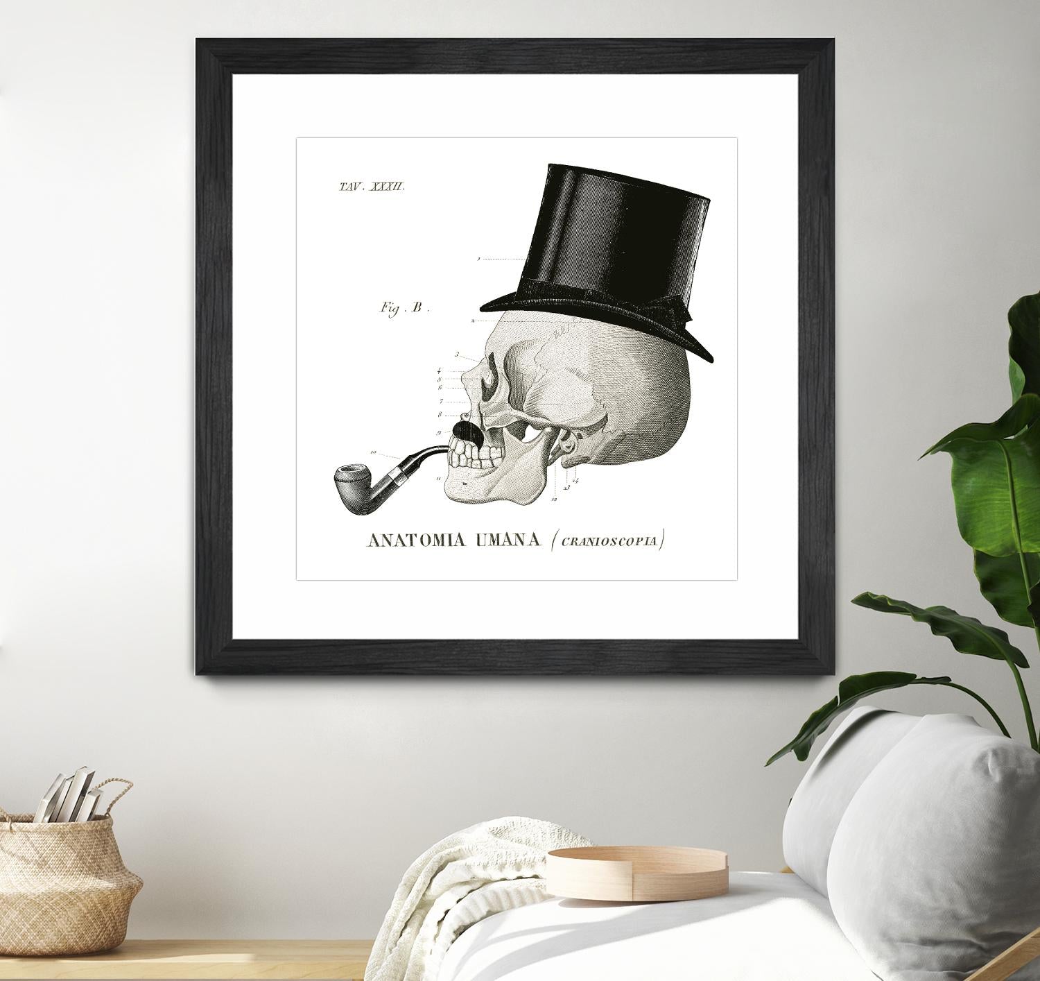 Dandy Bones II by Sue Schlabach on GIANT ART - white vintage