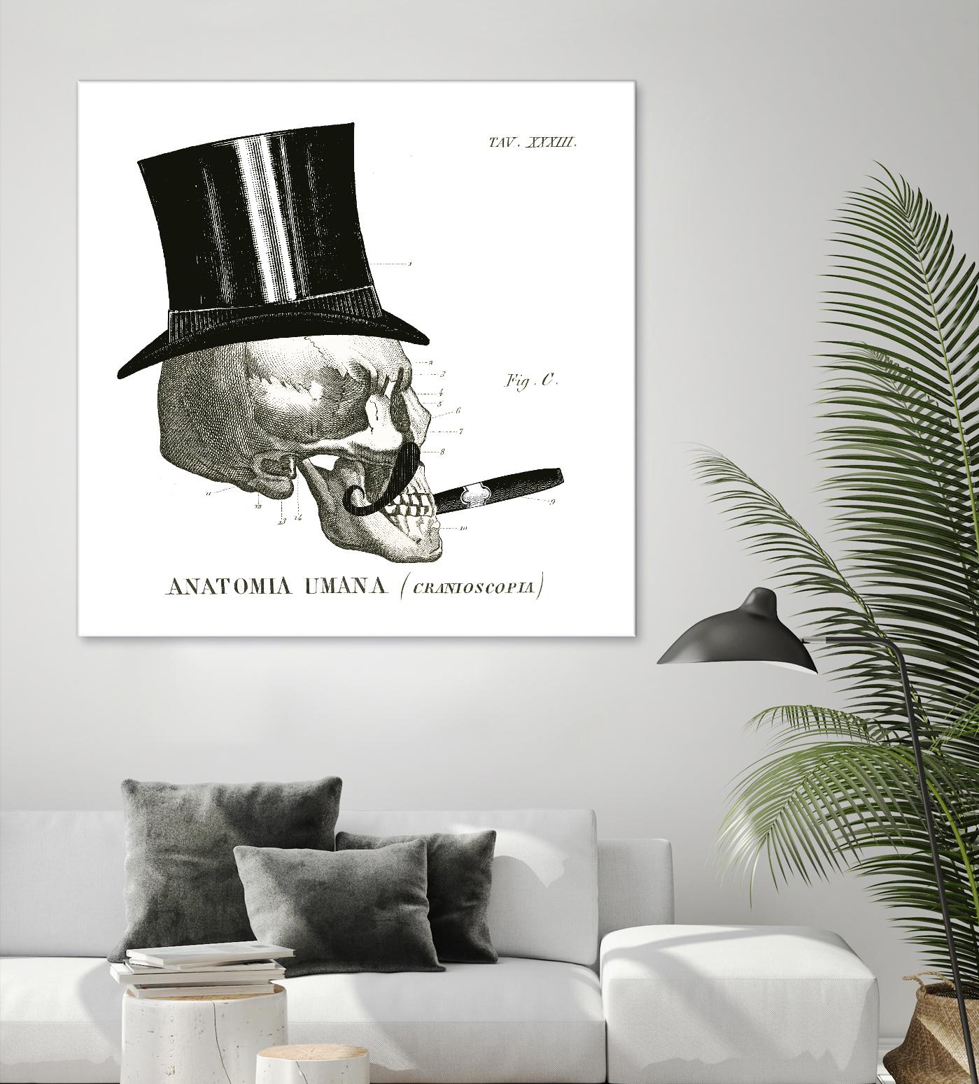 Dandy Bones III by Sue Schlabach on GIANT ART - white vintage