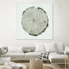 Woodland Years II by Sue Schlabach on GIANT ART - beige trees