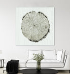 Woodland Years II by Sue Schlabach on GIANT ART - beige trees