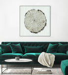 Woodland Years II by Sue Schlabach on GIANT ART - beige trees