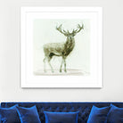 Stag 2 by James Wiens on GIANT ART - brown animals