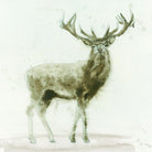 Stag 2 by James Wiens on GIANT ART - brown animals