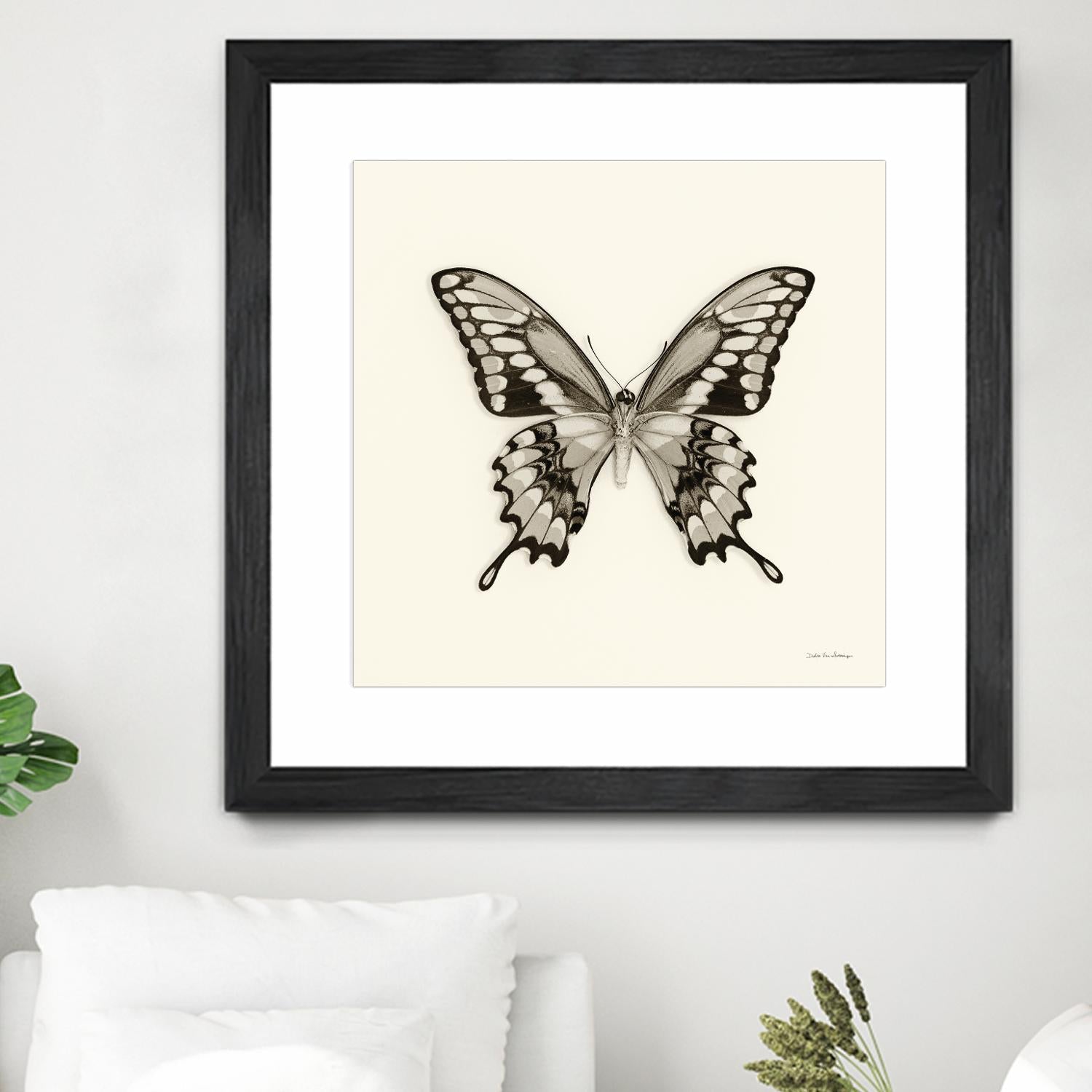 Butterfly VI BW Crop by Debra Van Swearingen on GIANT ART - beige animals