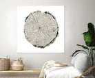 Woodland Years II on White by Sue Schlabach on GIANT ART - grey trees