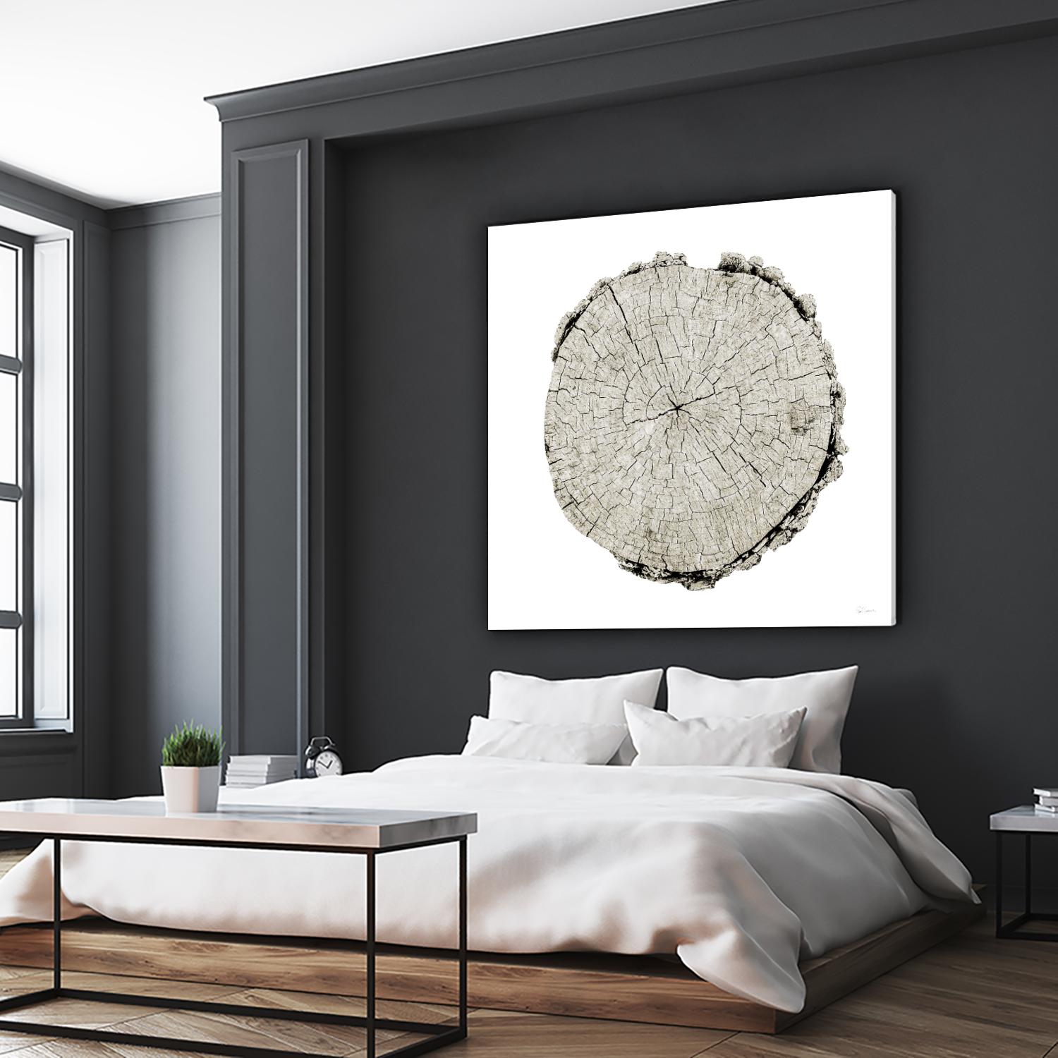 Woodland Years II on White by Sue Schlabach on GIANT ART - grey trees